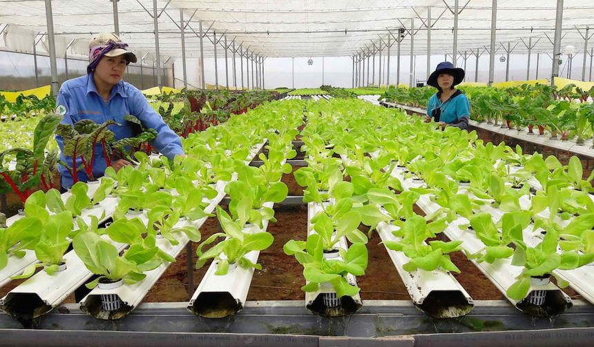 bán đất xã phạm văn cội củ chi 3.jpg
